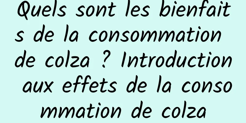 Quels sont les bienfaits de la consommation de colza ? Introduction aux effets de la consommation de colza