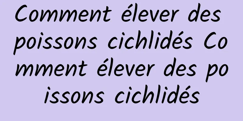 Comment élever des poissons cichlidés Comment élever des poissons cichlidés