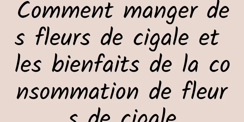 Comment manger des fleurs de cigale et les bienfaits de la consommation de fleurs de cigale