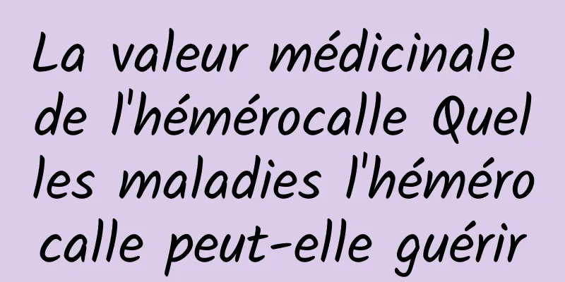 La valeur médicinale de l'hémérocalle Quelles maladies l'hémérocalle peut-elle guérir