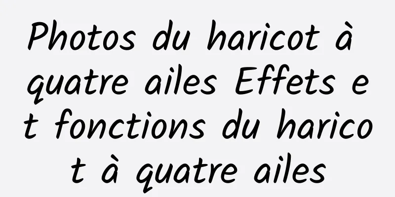 Photos du haricot à quatre ailes Effets et fonctions du haricot à quatre ailes