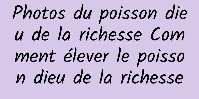 Photos du poisson dieu de la richesse Comment élever le poisson dieu de la richesse