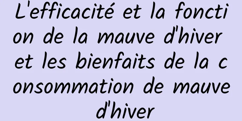 L'efficacité et la fonction de la mauve d'hiver et les bienfaits de la consommation de mauve d'hiver