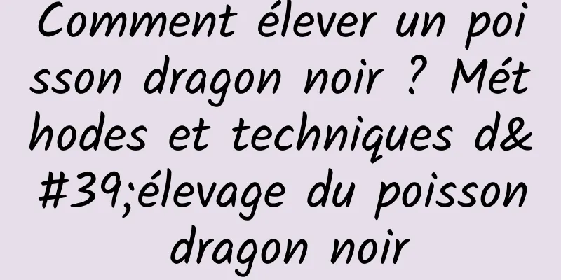 Comment élever un poisson dragon noir ? Méthodes et techniques d'élevage du poisson dragon noir