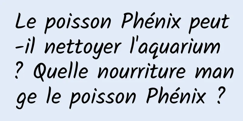 Le poisson Phénix peut-il nettoyer l'aquarium ? Quelle nourriture mange le poisson Phénix ?