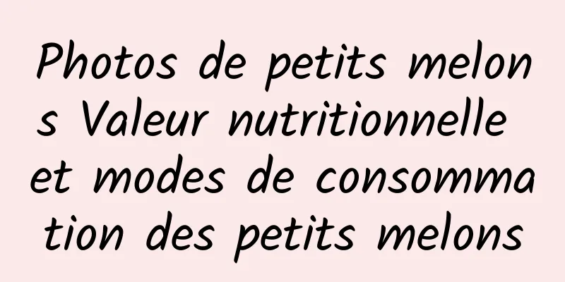 Photos de petits melons Valeur nutritionnelle et modes de consommation des petits melons