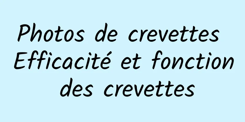 Photos de crevettes Efficacité et fonction des crevettes