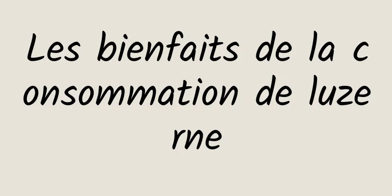 Les bienfaits de la consommation de luzerne