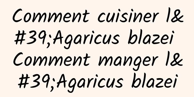 Comment cuisiner l'Agaricus blazei Comment manger l'Agaricus blazei