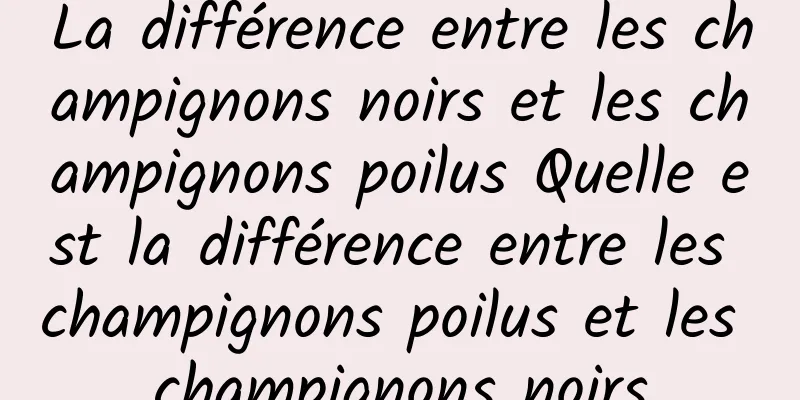 La différence entre les champignons noirs et les champignons poilus Quelle est la différence entre les champignons poilus et les champignons noirs