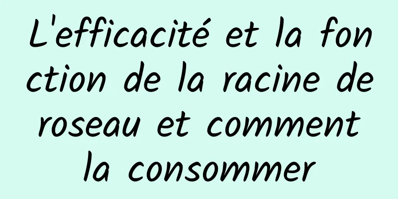 L'efficacité et la fonction de la racine de roseau et comment la consommer