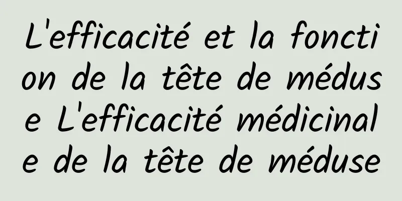 L'efficacité et la fonction de la tête de méduse L'efficacité médicinale de la tête de méduse