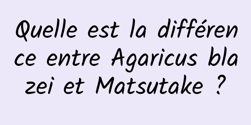 Quelle est la différence entre Agaricus blazei et Matsutake ?