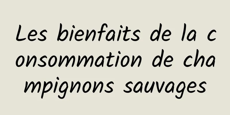 Les bienfaits de la consommation de champignons sauvages