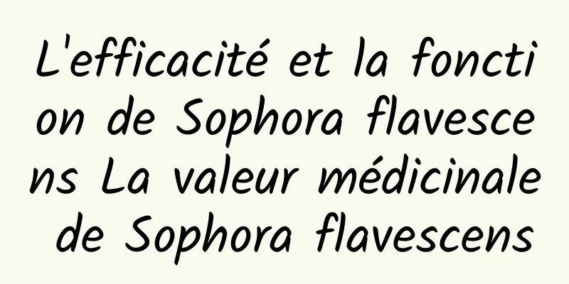 L'efficacité et la fonction de Sophora flavescens La valeur médicinale de Sophora flavescens