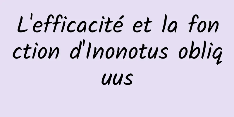 L'efficacité et la fonction d'Inonotus obliquus