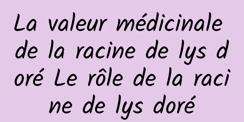 La valeur médicinale de la racine de lys doré Le rôle de la racine de lys doré