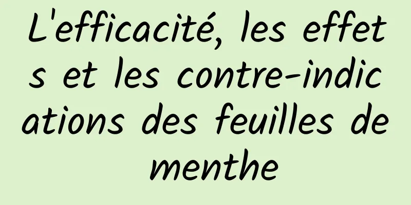 L'efficacité, les effets et les contre-indications des feuilles de menthe