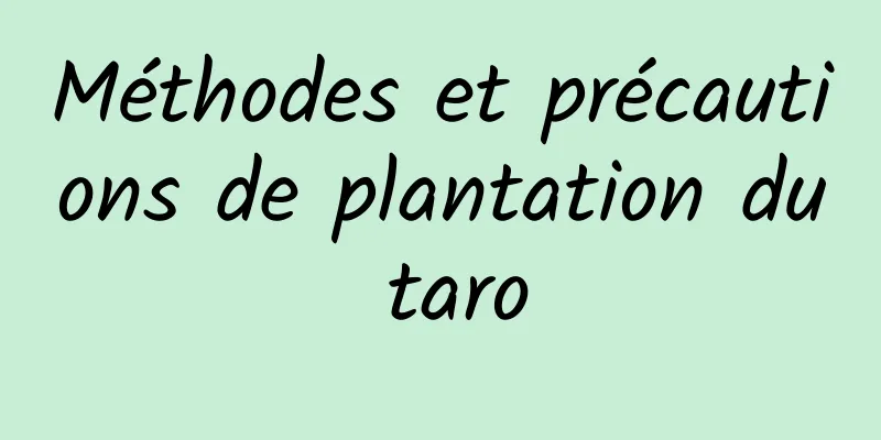 Méthodes et précautions de plantation du taro