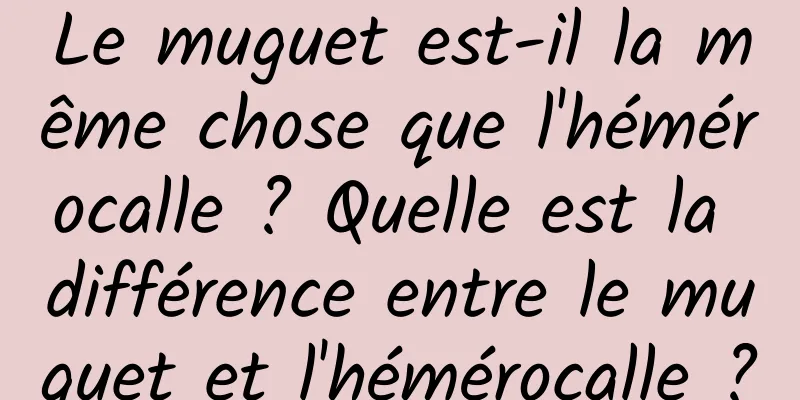 Le muguet est-il la même chose que l'hémérocalle ? Quelle est la différence entre le muguet et l'hémérocalle ?