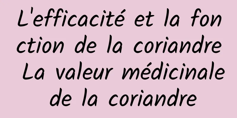 L'efficacité et la fonction de la coriandre La valeur médicinale de la coriandre