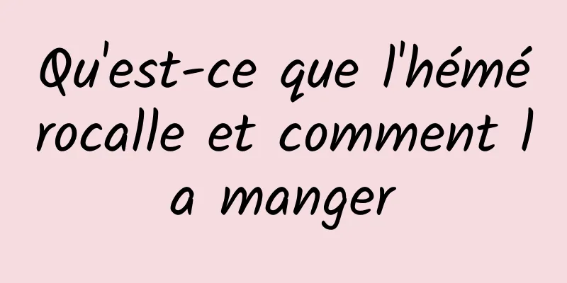 Qu'est-ce que l'hémérocalle et comment la manger