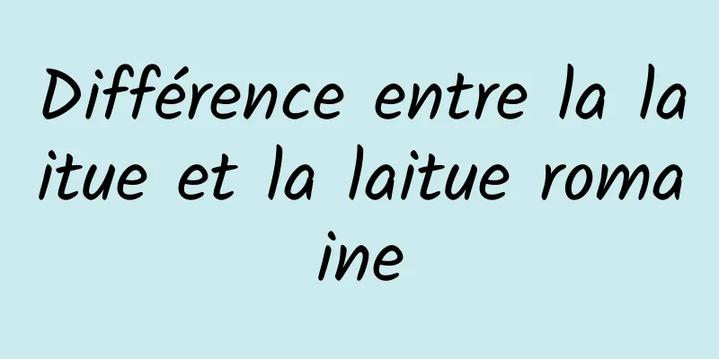 Différence entre la laitue et la laitue romaine