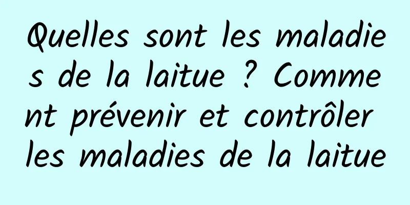 Quelles sont les maladies de la laitue ? Comment prévenir et contrôler les maladies de la laitue