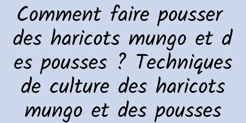 Comment faire pousser des haricots mungo et des pousses ? Techniques de culture des haricots mungo et des pousses