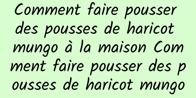 Comment faire pousser des pousses de haricot mungo à la maison Comment faire pousser des pousses de haricot mungo