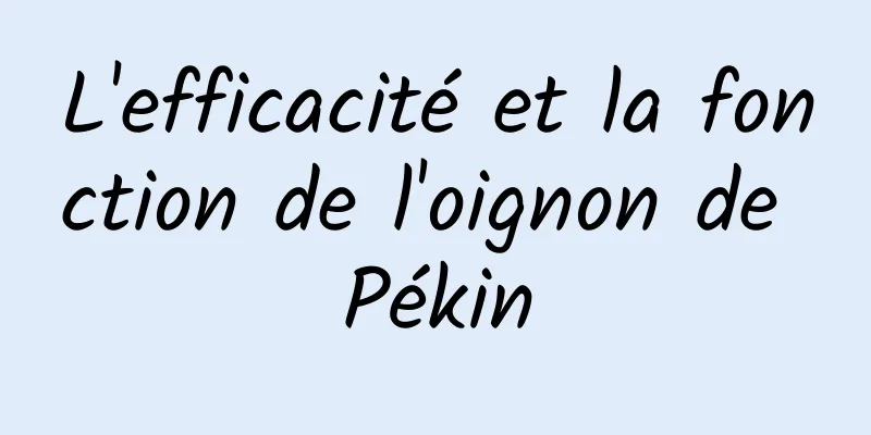 L'efficacité et la fonction de l'oignon de Pékin