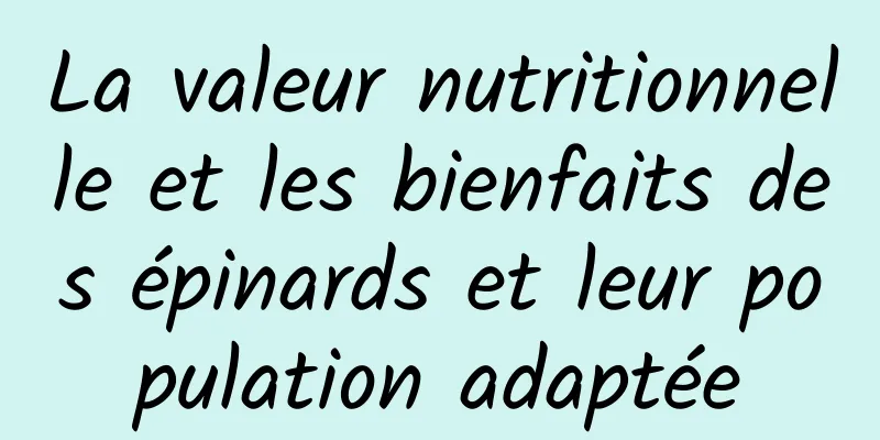 La valeur nutritionnelle et les bienfaits des épinards et leur population adaptée