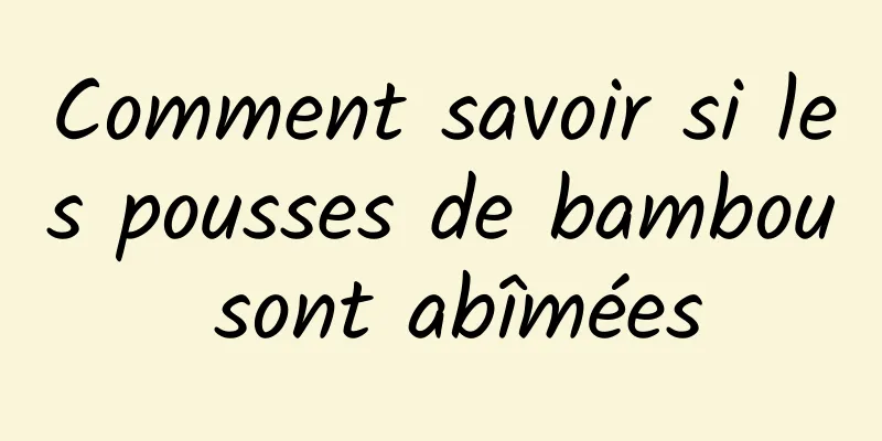 Comment savoir si les pousses de bambou sont abîmées