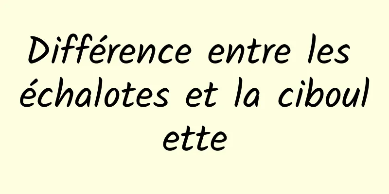 Différence entre les échalotes et la ciboulette