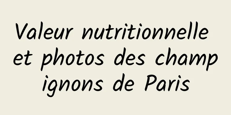 Valeur nutritionnelle et photos des champignons de Paris