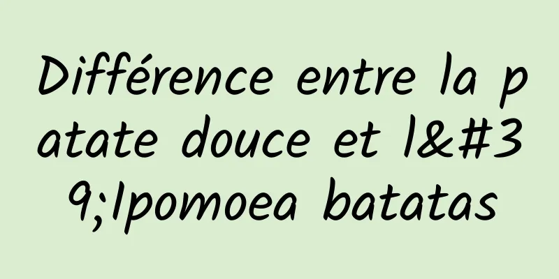 Différence entre la patate douce et l'Ipomoea batatas