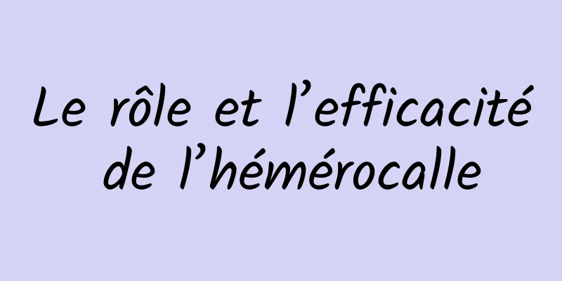 Le rôle et l’efficacité de l’hémérocalle