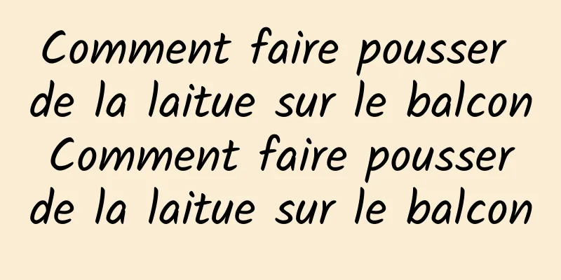 Comment faire pousser de la laitue sur le balcon Comment faire pousser de la laitue sur le balcon