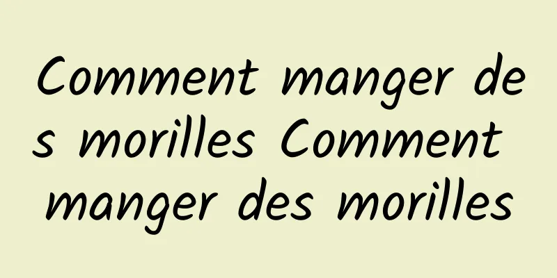 Comment manger des morilles Comment manger des morilles