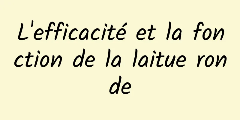 L'efficacité et la fonction de la laitue ronde