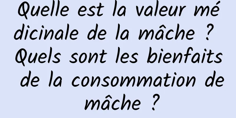 Quelle est la valeur médicinale de la mâche ? Quels sont les bienfaits de la consommation de mâche ?