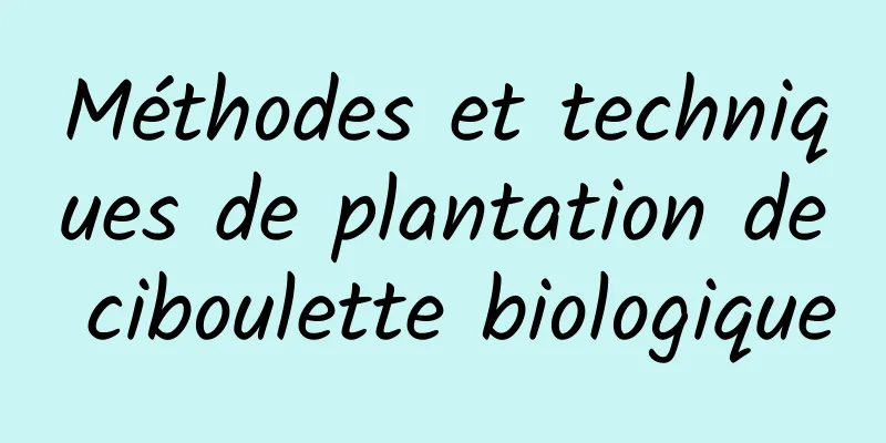 Méthodes et techniques de plantation de ciboulette biologique