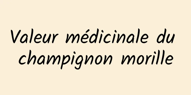 Valeur médicinale du champignon morille