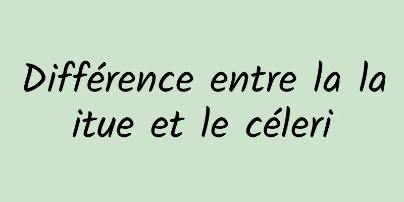 Différence entre la laitue et le céleri