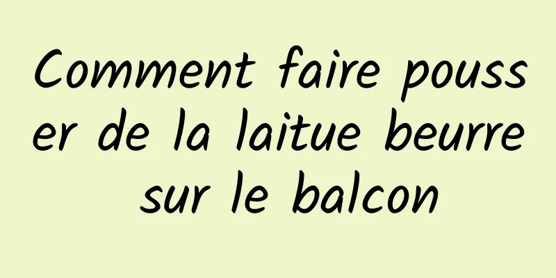 Comment faire pousser de la laitue beurre sur le balcon