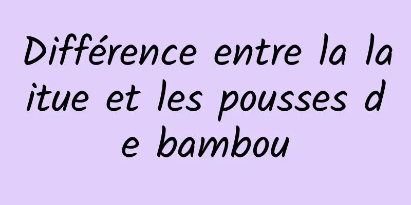 Différence entre la laitue et les pousses de bambou