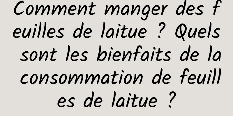 Comment manger des feuilles de laitue ? Quels sont les bienfaits de la consommation de feuilles de laitue ?