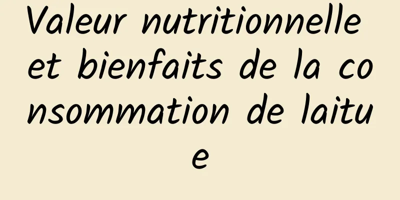 Valeur nutritionnelle et bienfaits de la consommation de laitue