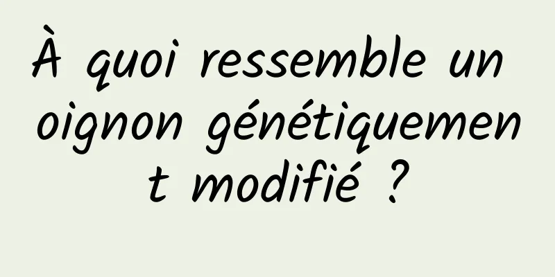 À quoi ressemble un oignon génétiquement modifié ?