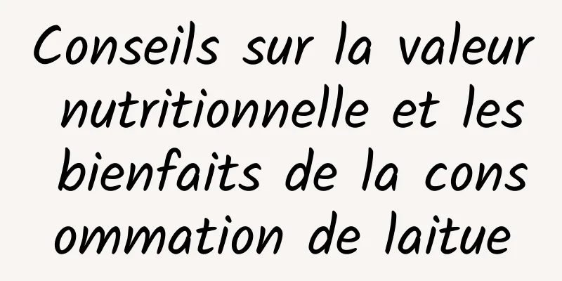 Conseils sur la valeur nutritionnelle et les bienfaits de la consommation de laitue